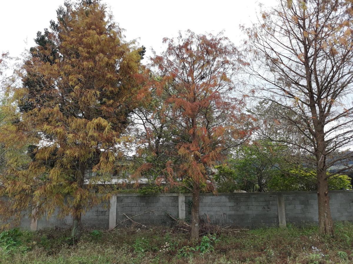 63Inn庭園民宿 Pinghe Exteriör bild